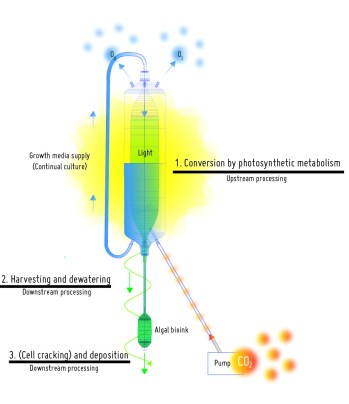 Algaerium Bioprinter - bioprocessing
